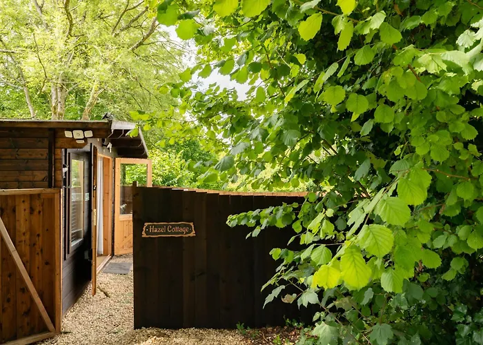 Hazel - Connect To The Nature In The Hot Tub